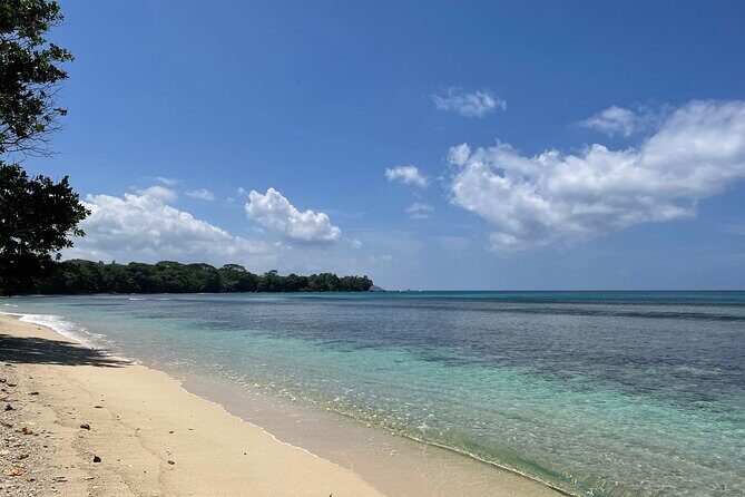5 Hour Private Customize Tour of Mahe, Seychelles - Victoria Market: spices, everyday shopping, and small-capital history