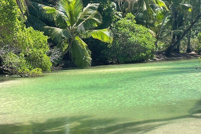 5 Hour Private Customize Tour of Mahe, Seychelles - Takamaka Rum distillery: guided history and a tasting you pay for