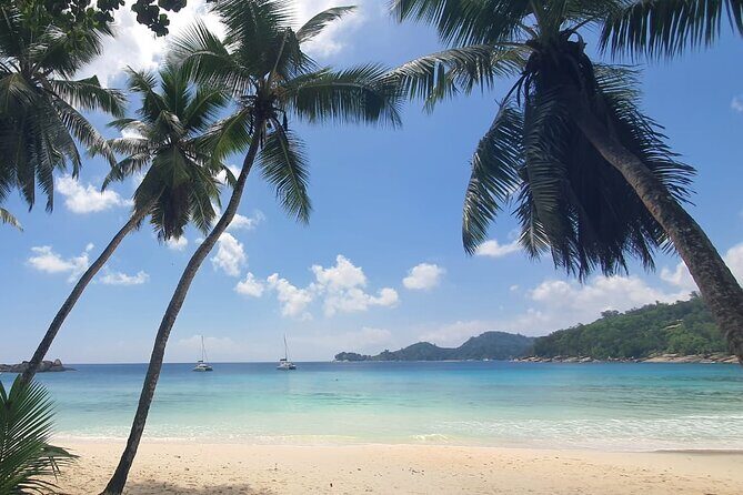 5 Hour Private Customize Tour of Mahe, Seychelles - Anse Royale beach: how to make the last hour count