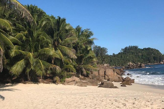 Beach hopping Tour on Mahe Seychelles - Who this tour is best for (and who should consider another plan)