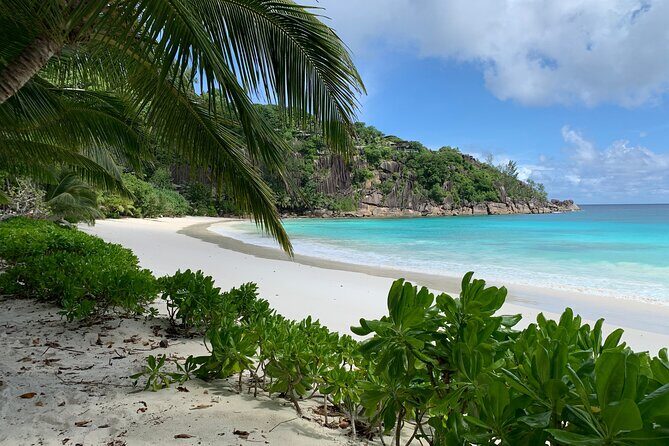 Beaches, swimming & snorkeling | Mahe, Seychelles | Private Tour - Key Details That Make It Worth Your Time