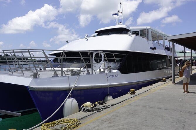 Cat Rose: Praslin Island / La Digue Island Fast Ferry - Timing and Daily Schedule: How to Pick the Right Departure