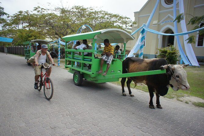 Cat Rose: Praslin Island / La Digue Island Fast Ferry - Baggage Rules That Affect Your Comfort