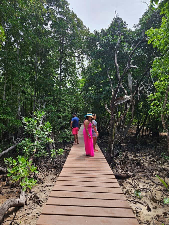 "Curieuse and St-Pierre Island Adventure: with Creole, BBQ - Anse José Creole Beach BBQ: Lunch That Works
