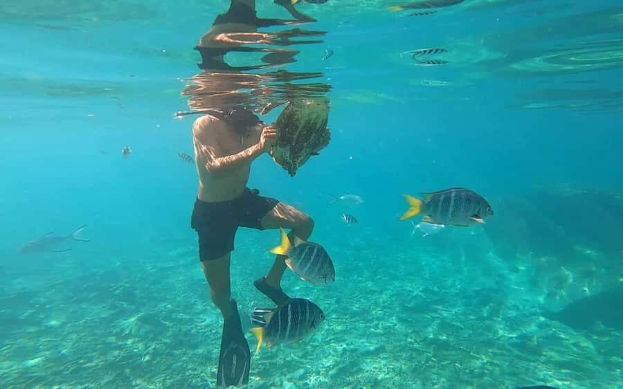 "Curieuse and St-Pierre Island Adventure: with Creole, BBQ - Group Tour Reality: Pace, Comfort, and Who It Suits