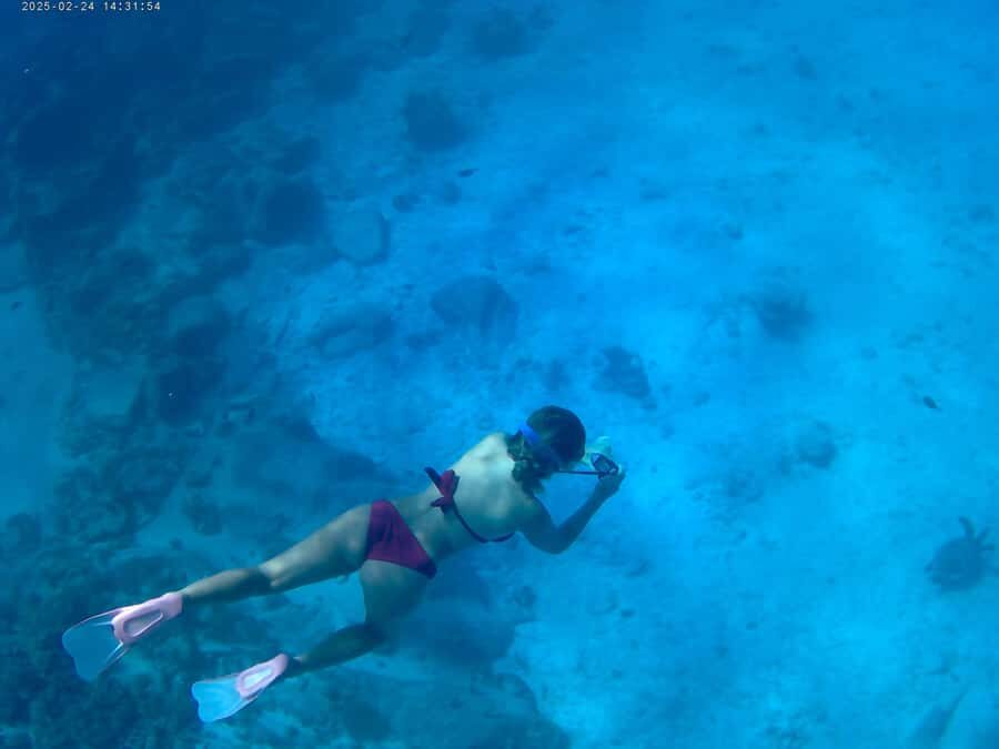 Curieuse and St Pierre Snorkeling Half-Day Trip No BBQ Lunch - Key things worth knowing before you go