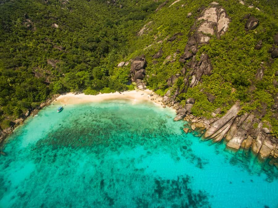 From Mahe: Guided Nature Trail Walk to Anse Major Beach - Bird spotting that’s actually doable (bulbuls, blue pigeon, sun birds)