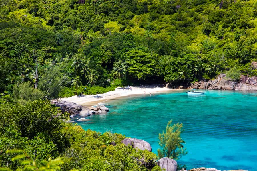 From Mahe: Guided Nature Trail Walk to Anse Major Beach - Who this tour suits best (and who should skip it)