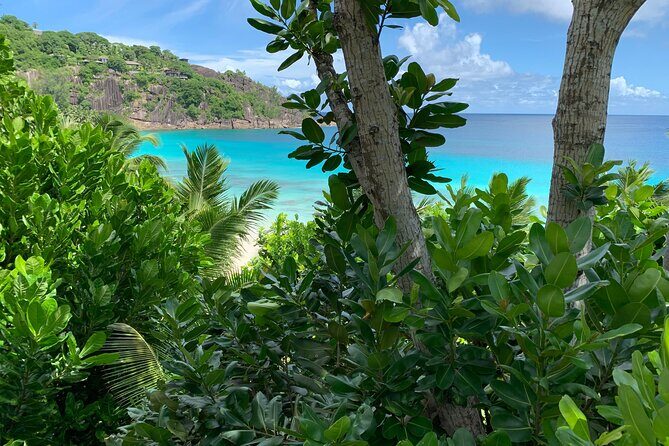 Full day (5-6 hours) island tour on Mahé with pick-up - Beaches That Actually Get Time: Anse Royale, Anse Intendance, Beau Vallon