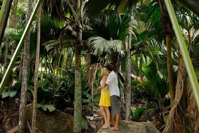 Full Day Discovery Tour of Vallee de Mai and Anse Lazio on Praslin Island - Inside Vallee de Mai: guided forest time with real context