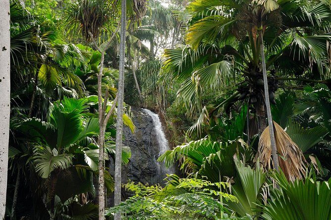 Full Day Discovery Tour of Vallee de Mai and Anse Lazio on Praslin Island - Who this tour is best for (and who might want a different style)