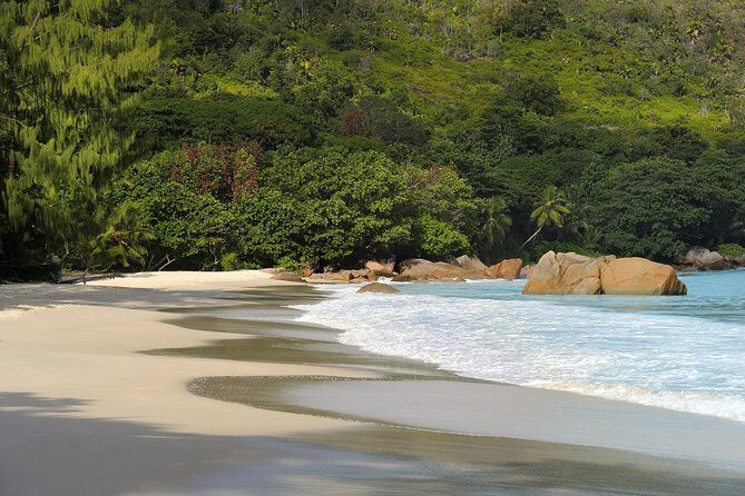 Full Day Discovery Tour of Vallee de Mai and Anse Lazio on Praslin Island - A note on the tour operator and the overall feel