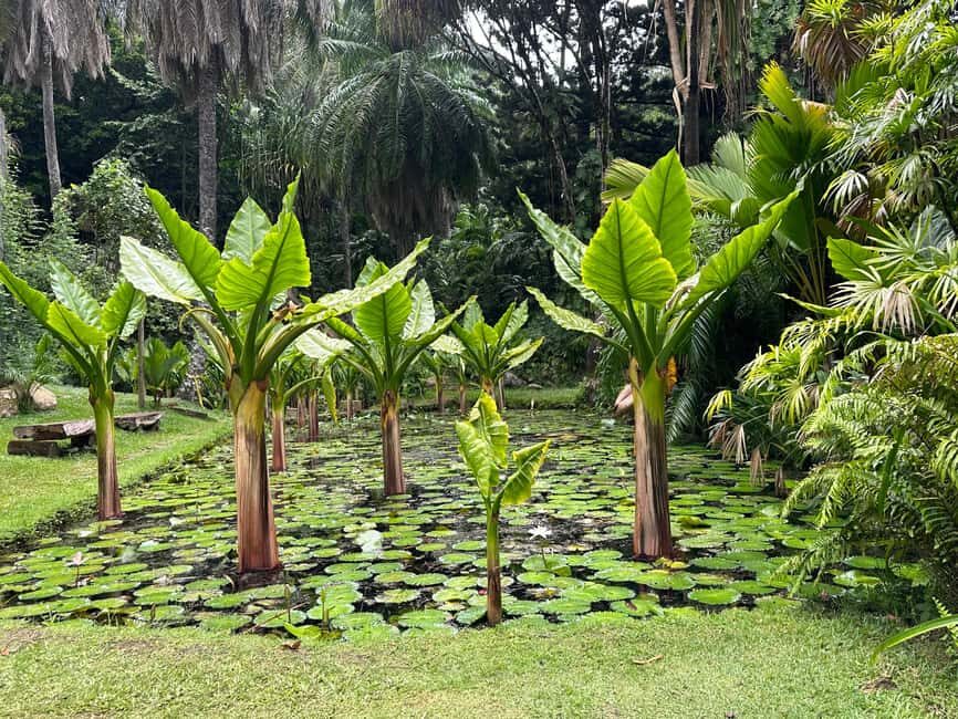 Full day Mahe Tour - Key Highlights You’ll Feel Right Away