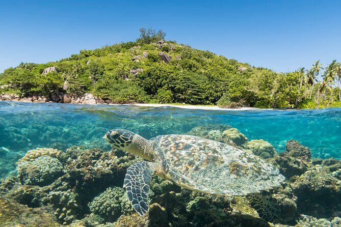 Full Day Reef Safari at St Anne Marine Park Seychelles - Ile au Cerf: creole buffet lunch on the beach and real island time