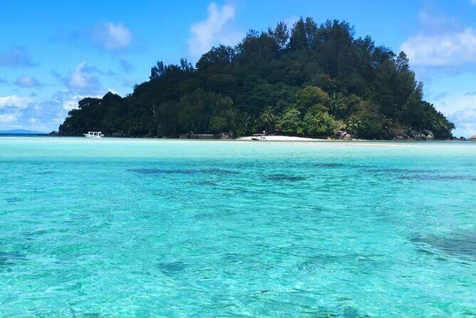 Full Day Reef Safari at St Anne Marine Park Seychelles - Price and group reality: what to watch for before you book