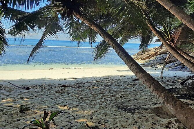 Full Day Reef Safari at St Anne Marine Park Seychelles - Timing, weather, and how to get the best snorkeling day