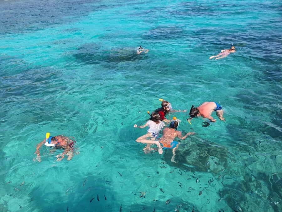 Glassbottom boat & Crystalkayak SteAnneMarinePark Snorkeling - Price and Value at $92: What’s Included vs. What Can Cost Extra