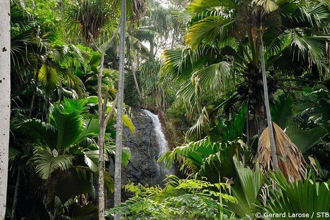 Half Day Discovery Tour of Vallee de Mai on Praslin Island - Key things to know before you go
