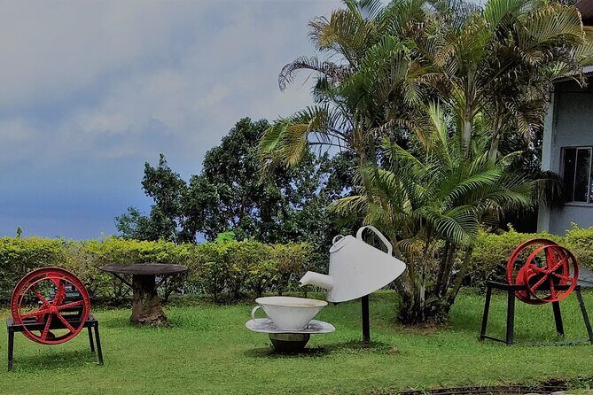 Half-Day Mahe private Tour - Mahe in 5 hours: how this private half-day really works