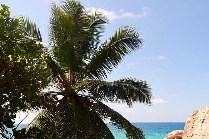 Half-Day Mahe private Tour - Port Launay beach finish: your last hour should feel like vacation