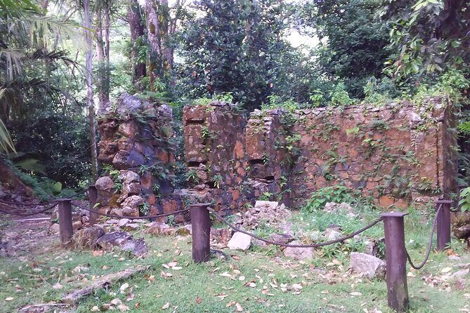 Half-Day Mahe private Tour - Price and value: what $175 per group gets you
