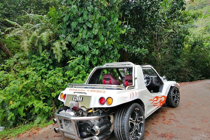 Island tour with the beach buggy - Key things to know before you go