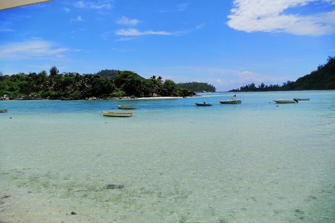 Island tour with the beach buggy - Beaches, viewpoints, and how the day really feels