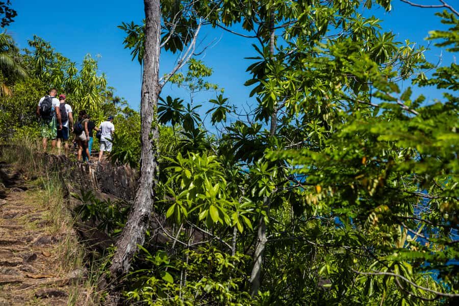 Mahé: Baie Ternay Park Catamaran Cruise with BBQ Lunch - Snorkeling in Baie Ternay: What You’re Paying For