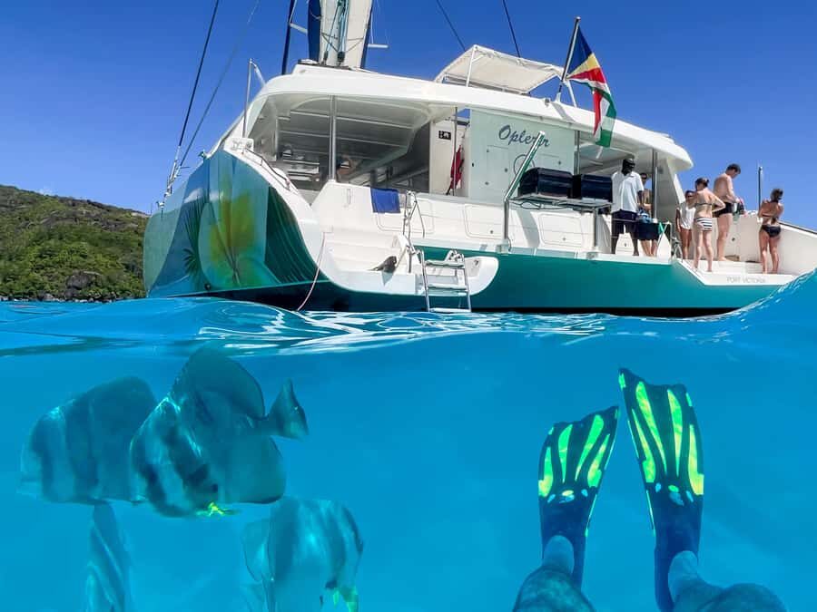 Mahé: Baie Ternay Park Catamaran Cruise with BBQ Lunch - What to Pack (So Snorkeling Feels Easy)