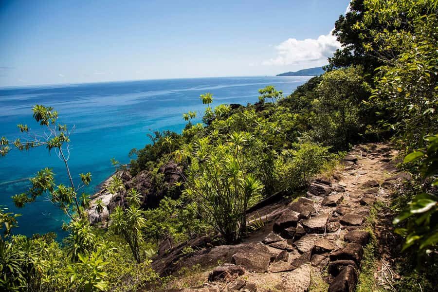Mahé: Baie Ternay Park Catamaran Cruise with BBQ Lunch - Price and Value: Is $159 Worth It?