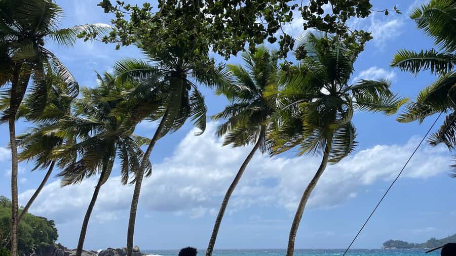 Mahe Island: Private Mahe Island Tour - Key things you’ll notice right away