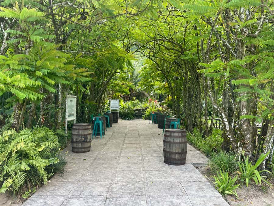 Mahe Island: Private Mahe Island Tour - Price and logistics: is $208 per group up to 4 a good deal?