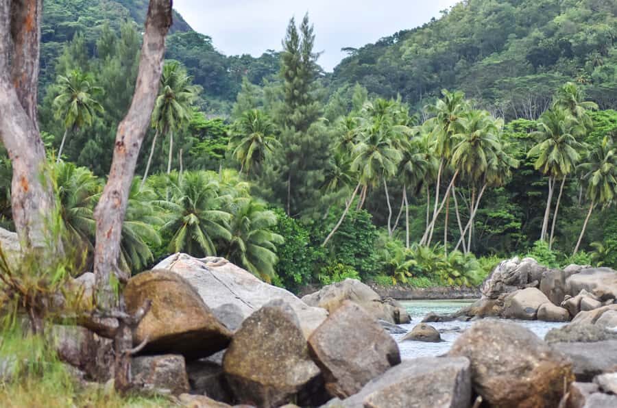 Mahe Island: Private Mahe Island Tour - How the guide experience really feels: customization, clear explanations, and photo breaks