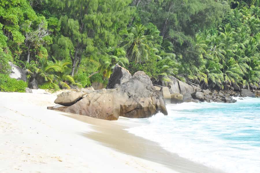 Mahe Island: Private Mahe Island Tour - Who should book this Mahe Island private tour