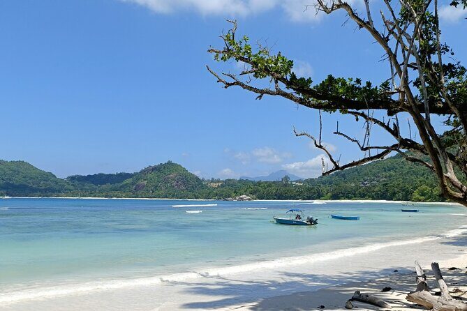Mahe island Seychelles , unforgettable & adventurous tour - Stop 1: Domaine de Val des Prés craft village and coco de mer