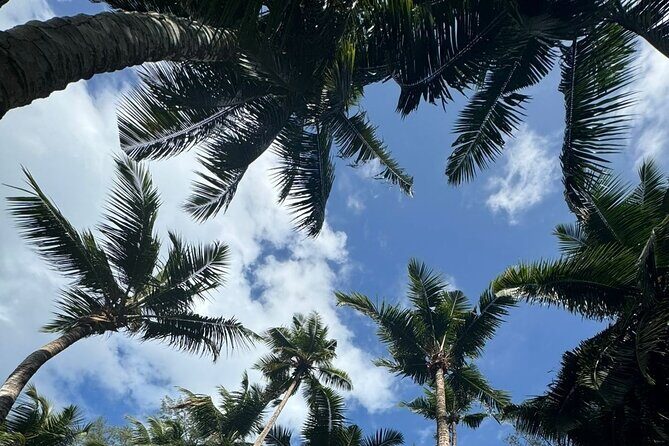 Mahe island Seychelles , unforgettable & adventurous tour - Stop 3: Takamaka Rum Distillery and garden-time relaxation
