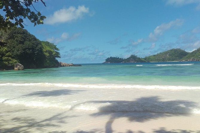 Mahe Private full day tour - Giant tortoises, Cocos de mer, and a Mahe “greatest hits” loop