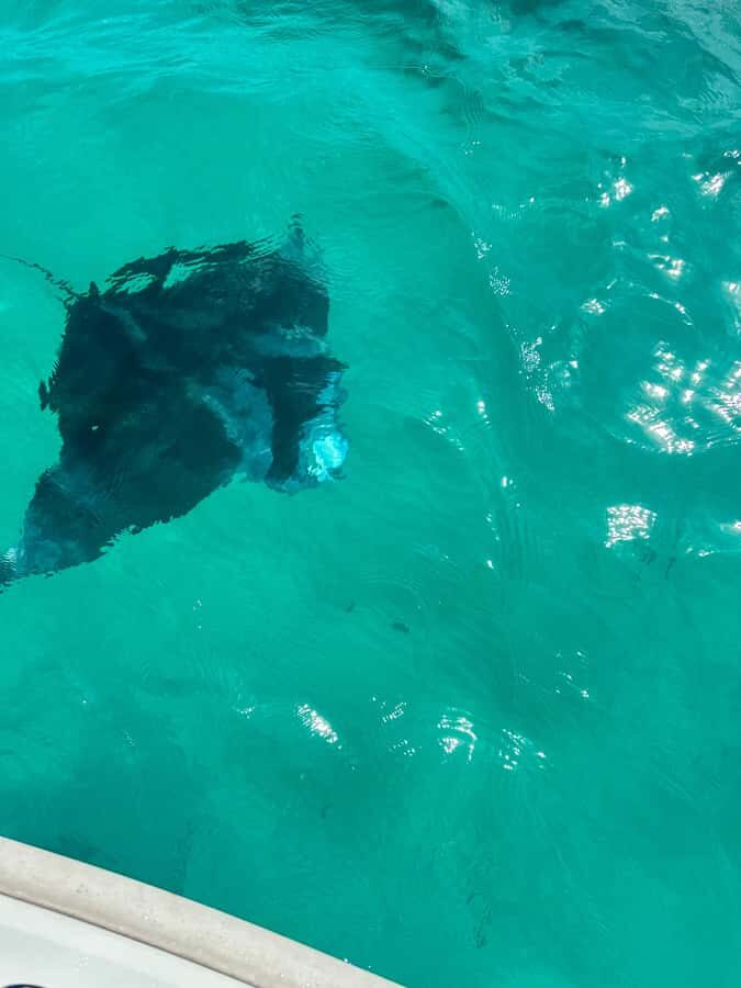 Mahe: Private half-day boat trip at the St.Anne Marine Park - Long Island sandbank walk: the calm half of the day
