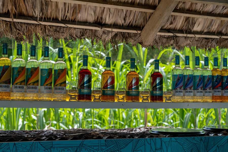 Mahé: Wild South Discovery Trip with Local Lunch - What to bring: shoes for trails plus swim gear for the beach pause