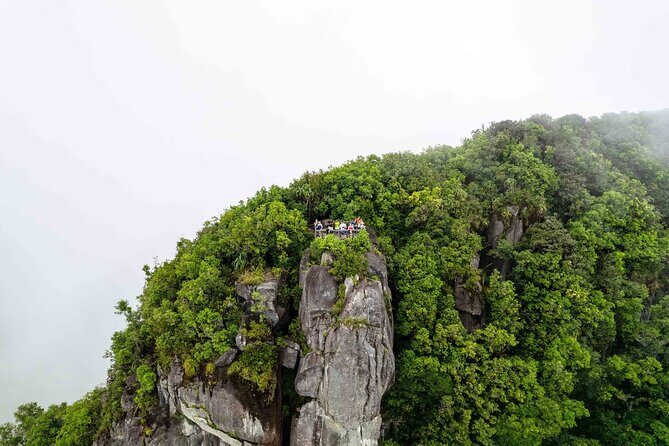 Nature trail - Morne Blanc (Mahe) - Morne Blanc on Mahe: a viewpoint hike with a tea-plantation warm-up