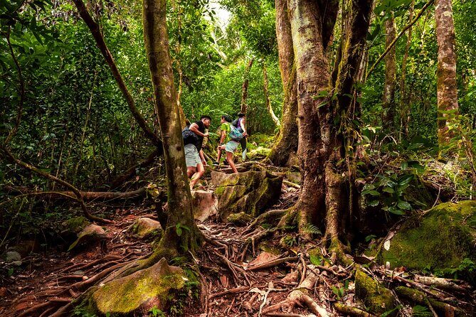 Nature trail - Morne Blanc (Mahe) - Who this hike suits best (and who should rethink it)
