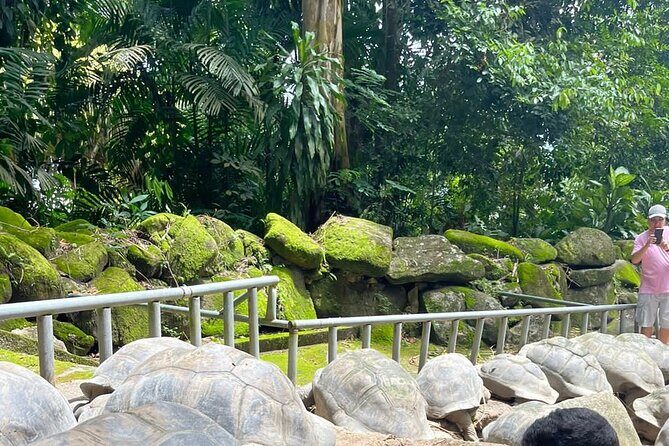 Omnibus service in Seychelles - Key Highlights You’ll Feel Right Away