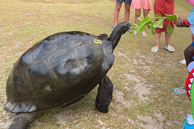 Omnibus service in Seychelles - Comfort, Safety, and the Value of a Secure Point Person