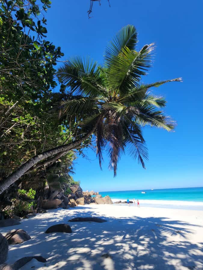 Praslin: Full Day Private Tour - Car Stops, Viewpoints, and Photos with a Little Breathing Room