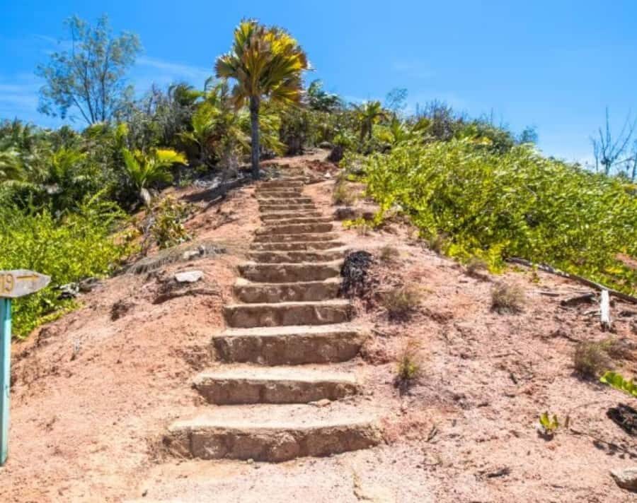 Praslin : Private tour - The Mt Plaisir-to-Anse Lazio walk: how to make the “10 minutes” feel worth it