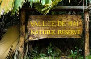 Praslin : Private tour - Vallée de Mai guide and entry fees: what you should budget for