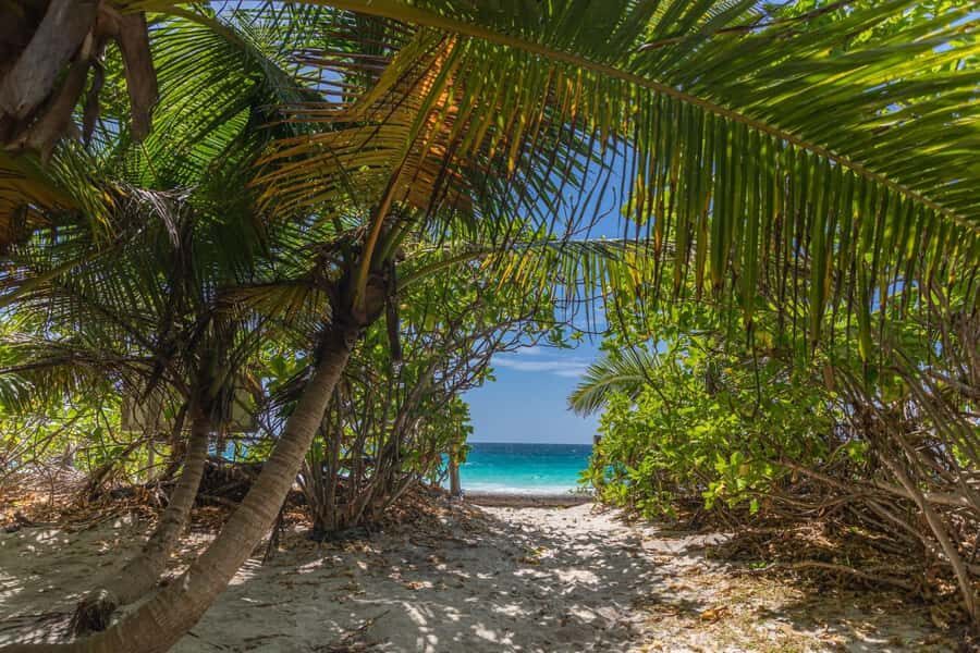 Praslin: Sister & Coco Island Full-Day Cruise and Creole BBQ - The Creole BBQ lunch on the beach (and why it’s more than food)