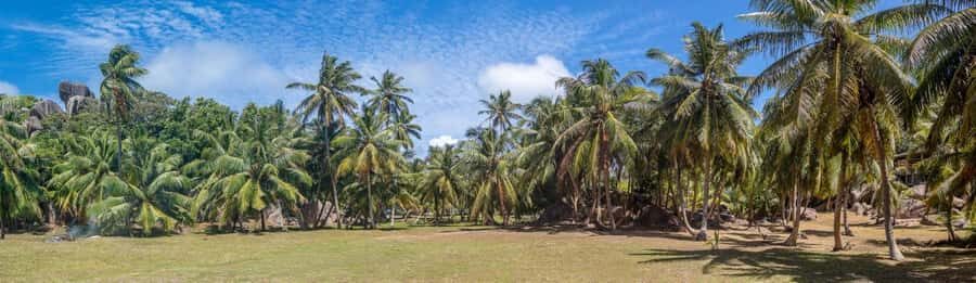 Praslin: Sister & Coco Island Full-Day Cruise and Creole BBQ - Price and value: $130 plus the cash-only landing fees
