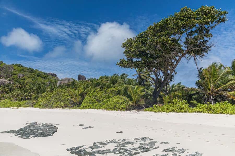 Praslin: Sister & Coco Island Full-Day Cruise and Creole BBQ - Who this cruise fits best (and who should skip it)