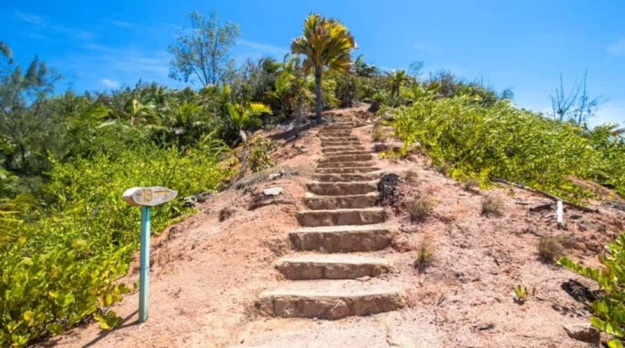 Praslin : Tour (Shared) - A Day on Praslin: From Vallee de Mai to Anse Lazio